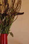 found-flowers-10.JPG