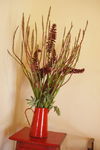 found-flowers-11.JPG