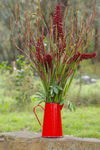 found-flowers-7.JPG